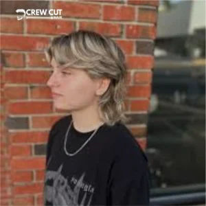 Highlighted Mullet