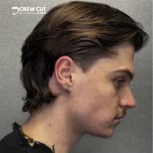Straight Hair Mullet