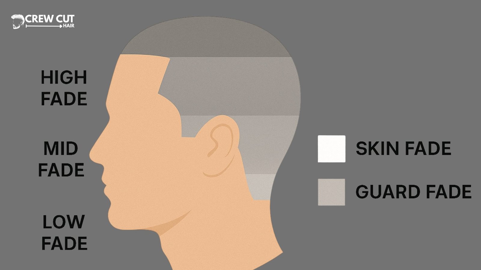 Fade haircut guide low, mid, high placement and a legend comparing skin and guard fades