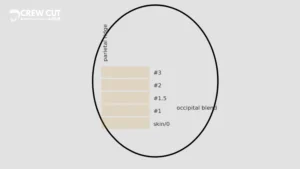 Front view diagram of a mid fade comb over showing temple height blend and the comb over direction across the top