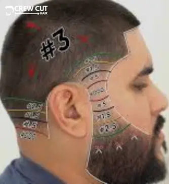 Beard-Blend Low Taper Buzz Cut