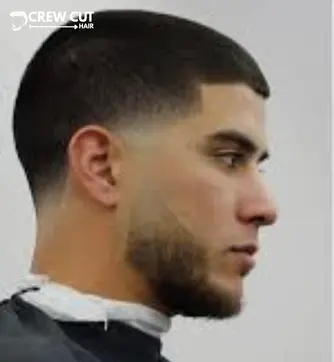 Classic Low Taper Buzz Cut