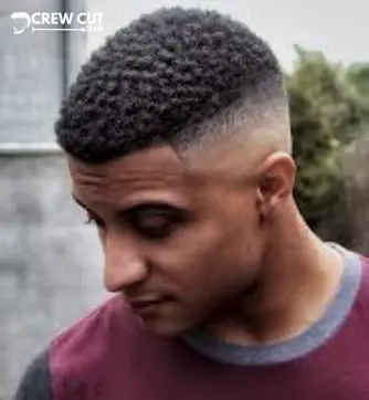 Curly Buzz Fade