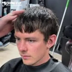 Fringe-Forward Mod Cut