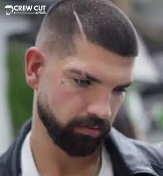 Low fade buzz with line up