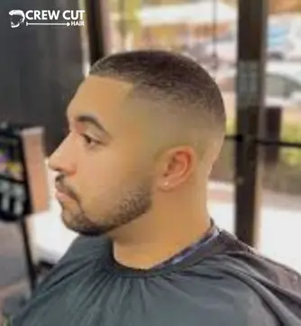 Textured Top Low Taper Buzz Cut