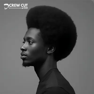 Afro Afro Blowout Low Taper Fade Curly Hair