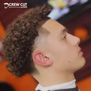 Short Curly Hispanic Blowout Low Taper Fade Curly Hair