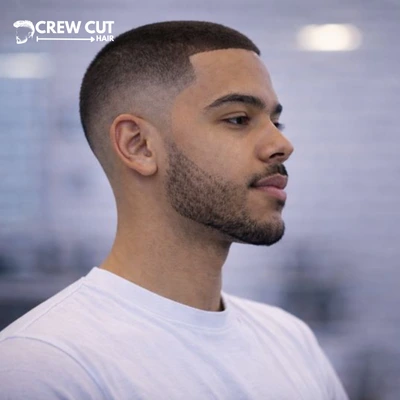 Buzz Cut Burst Fade With Beard Blend